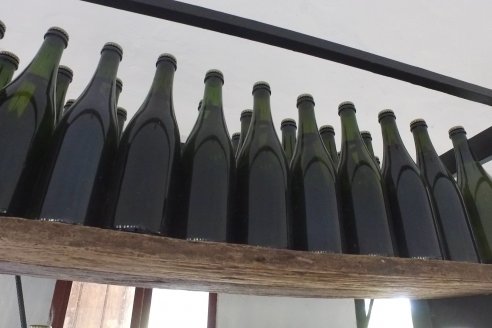 Visita a Fisolo Viñedo y Bodega - Maria Luisa, Entre Ríos - Elaboración de vinos espumosos bajo el método tradicional