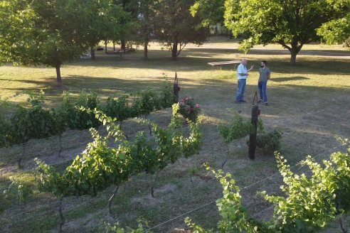 Visita a Fisolo Viñedo y Bodega - Maria Luisa, Entre Ríos - Elaboración de vinos espumosos bajo el método tradicional