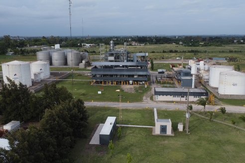 Biocombustibles: la crisis energética global acercó posiciones