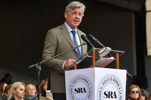 Luego de la agitada sesión en el Senado, las entidades salen a respaldar el proyecto de Ley Bases