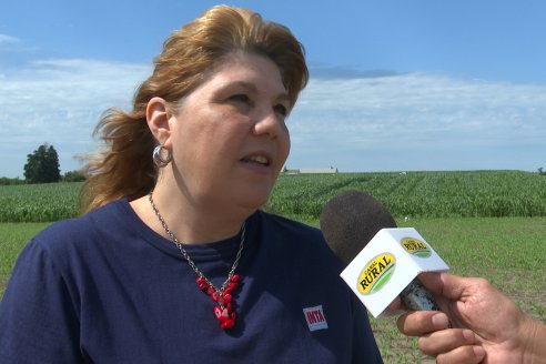 Visita a la EEA INTA Paraná -Ing. Adriana Saluso, Entomóloga  - Aparición de Caracoles en Sorgo y Chicharrita en Maíz