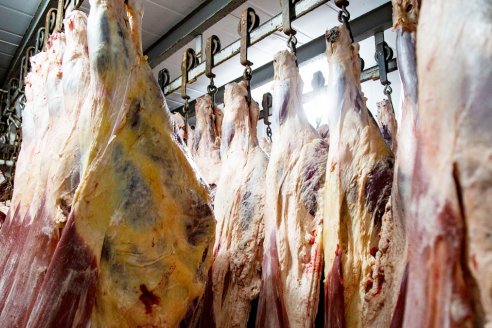 El lunes desaparecen todas las restricciones para exportar carne