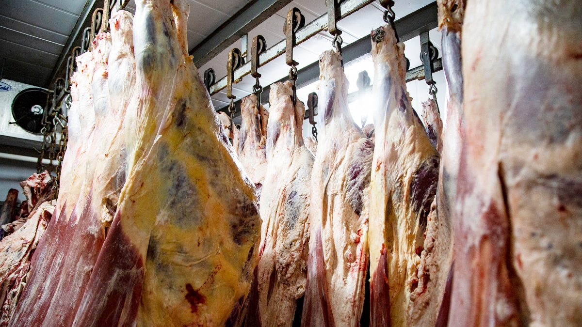 中国、防ダニ剤残留物を塗布した牛肉を販売したとしてウルグアイの食肉加工工場を制裁 – ニュース