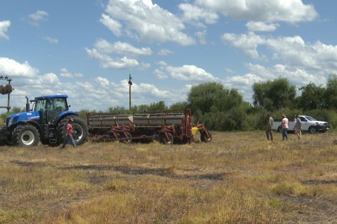 Maiz en Alcaraz - Siembra de Ensayo KWS y Agrofe Campo y KM 3916 Vip3 RR. en campos de productores