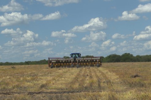 Maiz en Alcaraz - Siembra de Ensayo KWS y Agrofe Campo y KM 3916 Vip3 RR. en campos de productores