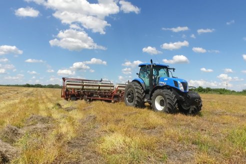 Maiz en Alcaraz - Siembra de Ensayo KWS y Agrofe Campo y KM 3916 Vip3 RR. en campos de productores