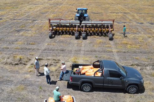 Maiz en Alcaraz - Siembra de Ensayo KWS y Agrofe Campo y KM 3916 Vip3 RR. en campos de productores