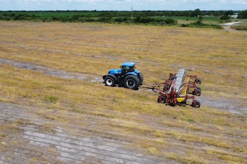 Maiz en Alcaraz - Siembra de Ensayo KWS y Agrofe Campo y KM 3916 Vip3 RR. en campos de productores