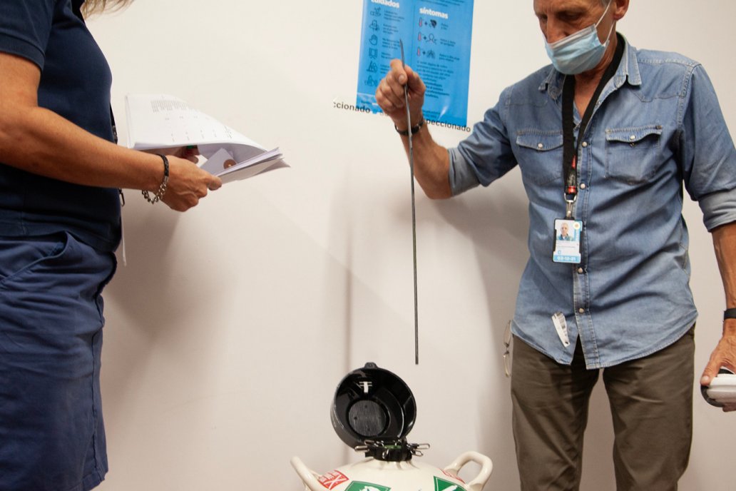 El acuerdo resultó del trabajo de los organismos sanitarios de ambas partes. El acuerdo resultó del trabajo de los organismos sanitarios de ambas partes.