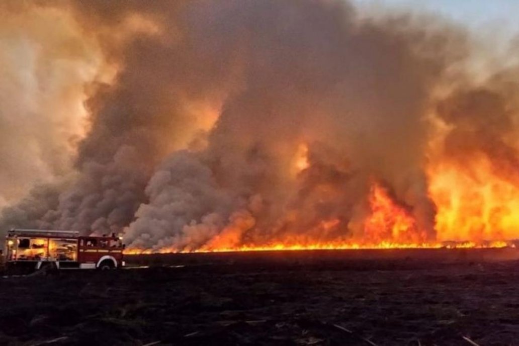 Es una incógnita la Ley de Manejo del Fuego Es una incógnita la Ley de Manejo del Fuego