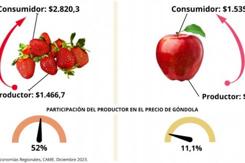 Del campo a la góndola, en diciembre los precios de los agroalimentos se multiplicaron por 3,5 veces