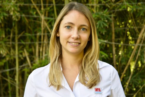 “La mejora en las condiciones de los cultivos puede compensar el daño de insectos en hojas”