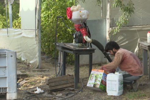 Germán Liendo - Productor Hortícola - “Trabajar la huerta es duro, pero con eficiencia se puede vivir de esto