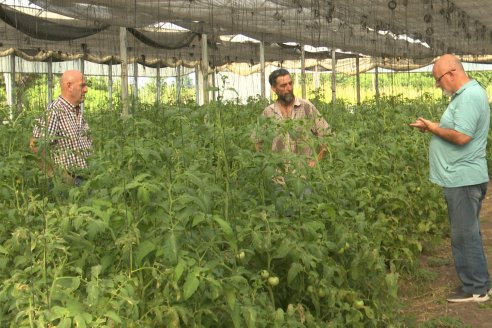 Germán Liendo - Productor Hortícola - “Trabajar la huerta es duro, pero con eficiencia se puede vivir de esto