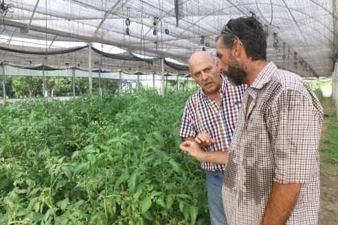 Germán Liendo - Productor Hortícola - “Trabajar la huerta es duro, pero con eficiencia se puede vivir de esto