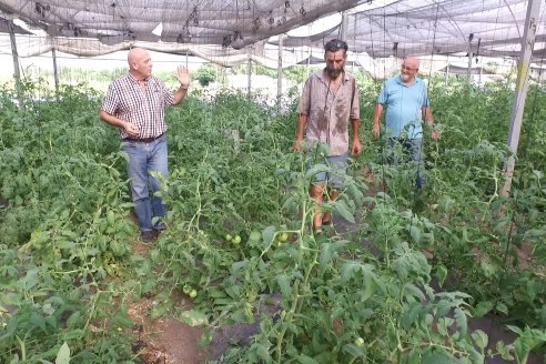 Germán Liendo - Productor Hortícola - “Trabajar la huerta es duro, pero con eficiencia se puede vivir de esto