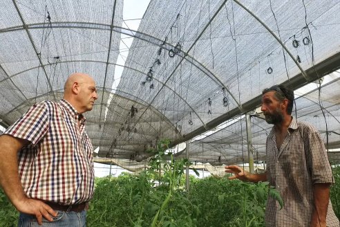 Germán Liendo - Productor Hortícola - “Trabajar la huerta es duro, pero con eficiencia se puede vivir de esto