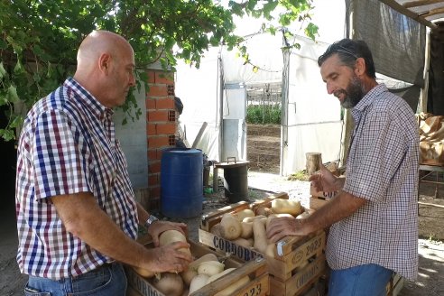 Germán Liendo - Productor Hortícola - “Trabajar la huerta es duro, pero con eficiencia se puede vivir de esto