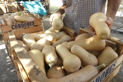 Germán Liendo - Productor Hortícola - “Trabajar la huerta es duro, pero con eficiencia se puede vivir de esto