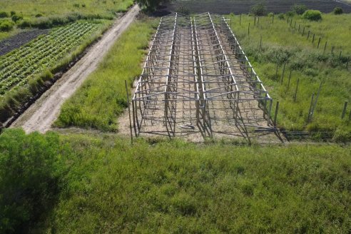 Germán Liendo - Productor Hortícola - “Trabajar la huerta es duro, pero con eficiencia se puede vivir de esto