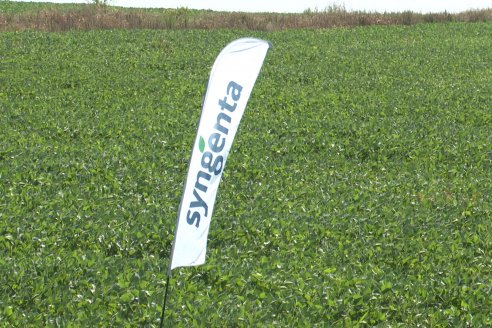 Jornada Taller de Capacitación Técnica a Campo - Syngenta Argentina e Insumos Entre Ríos S.A. - LA SOJINETA