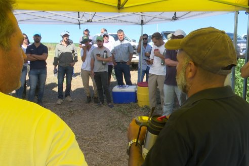 Jornada Taller de Capacitación Técnica a Campo - Syngenta Argentina e Insumos Entre Ríos S.A. - LA SOJINETA