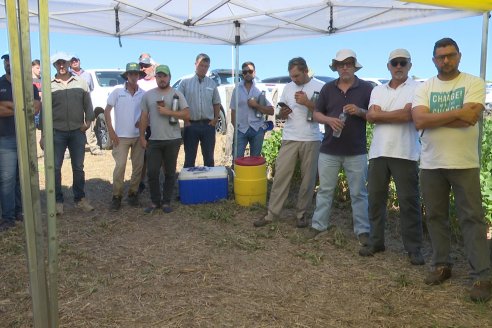 Jornada Taller de Capacitación Técnica a Campo - Syngenta Argentina e Insumos Entre Ríos S.A. - LA SOJINETA