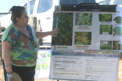 Jornada Taller de Capacitación Técnica a Campo - Syngenta Argentina e Insumos Entre Ríos S.A. - LA SOJINETA