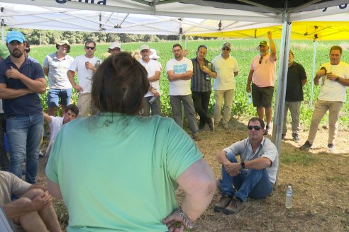 Jornada Taller de Capacitación Técnica a Campo - Syngenta Argentina e Insumos Entre Ríos S.A. - LA SOJINETA