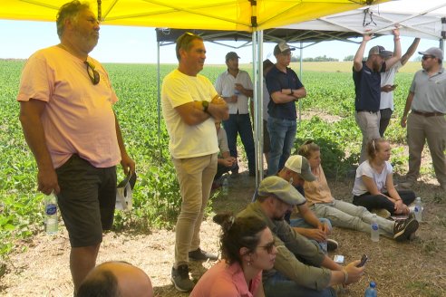 Jornada Taller de Capacitación Técnica a Campo - Syngenta Argentina e Insumos Entre Ríos S.A. - LA SOJINETA