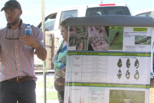 Jornada Taller de Capacitación Técnica a Campo - Syngenta Argentina e Insumos Entre Ríos S.A. - LA SOJINETA