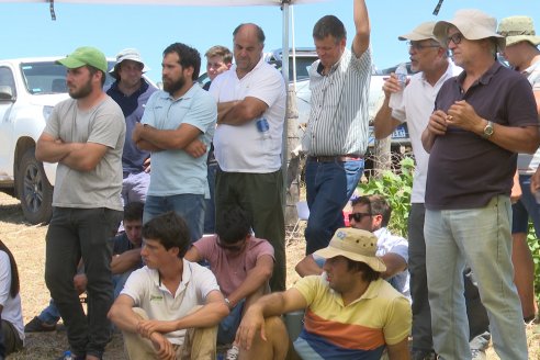 Jornada Taller de Capacitación Técnica a Campo - Syngenta Argentina e Insumos Entre Ríos S.A. - LA SOJINETA