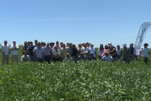 Jornada Taller de Capacitación Técnica a Campo - Syngenta Argentina e Insumos Entre Ríos S.A. - LA SOJINETA