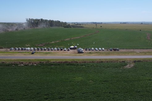 Jornada Taller de Capacitación Técnica a Campo - Syngenta Argentina e Insumos Entre Ríos S.A. - LA SOJINETA