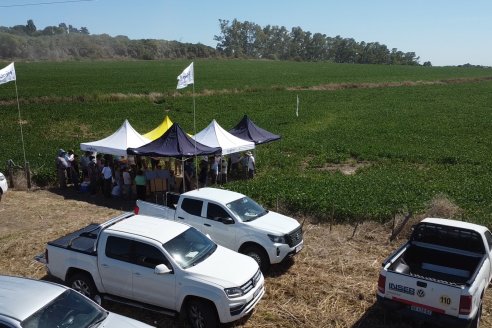 Jornada Taller de Capacitación Técnica a Campo - Syngenta Argentina e Insumos Entre Ríos S.A. - LA SOJINETA