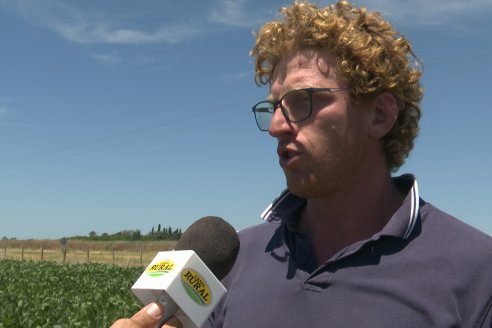 Jornada Taller de Capacitación Técnica a Campo - Syngenta Argentina e Insumos Entre Ríos S.A. - LA SOJINETA