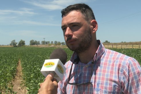 Jornada Taller de Capacitación Técnica a Campo - Syngenta Argentina e Insumos Entre Ríos S.A. - LA SOJINETA