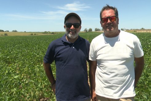 Jornada Taller de Capacitación Técnica a Campo - Syngenta Argentina e Insumos Entre Ríos S.A. - LA SOJINETA