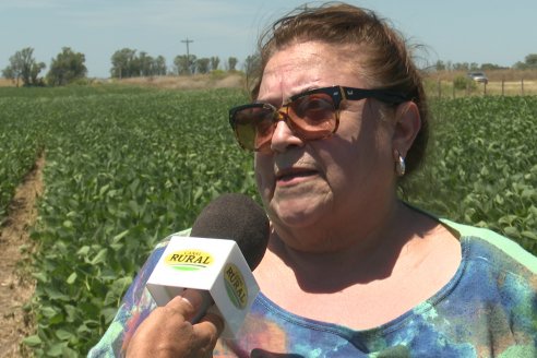 Jornada Taller de Capacitación Técnica a Campo - Syngenta Argentina e Insumos Entre Ríos S.A. - LA SOJINETA