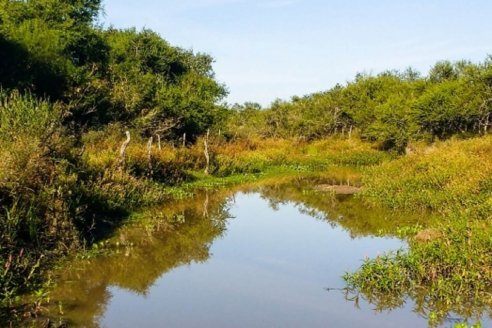 Casi dos millones de hectáreas son de monte y hay que protegerlas