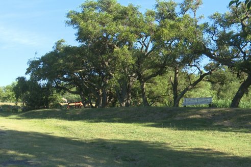 Visita al Vivero Municipal de Paraná