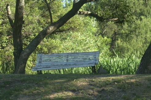 Visita al Vivero Municipal de Paraná