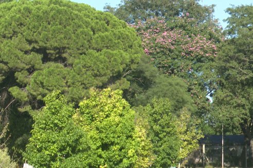 Visita al Vivero Municipal de Paraná