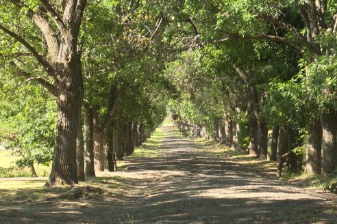 Visita al Vivero Municipal de Paraná