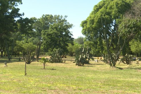 Visita al Vivero Municipal de Paraná