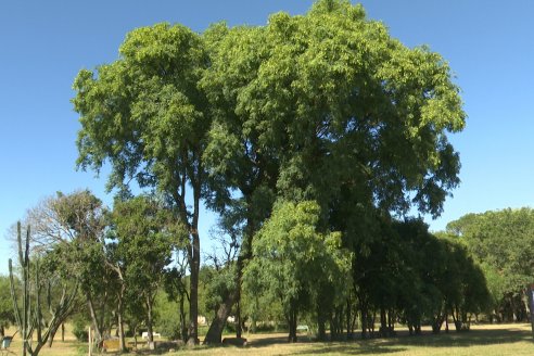 Visita al Vivero Municipal de Paraná