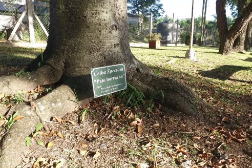 Visita al Vivero Municipal de Paraná