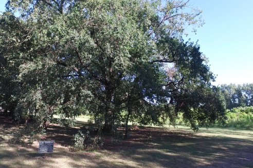 Visita al Vivero Municipal de Paraná