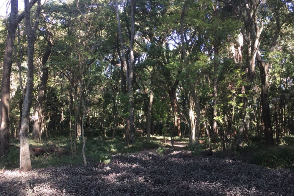 El lugar está abierto al turismo y la condición de área protegida suma valor.