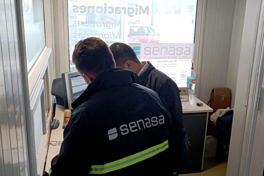 Los datos resultan de las verificaciones de Senasa en la frontera con Uruguay. Los datos resultan de las verificaciones de Senasa en la frontera con Uruguay.